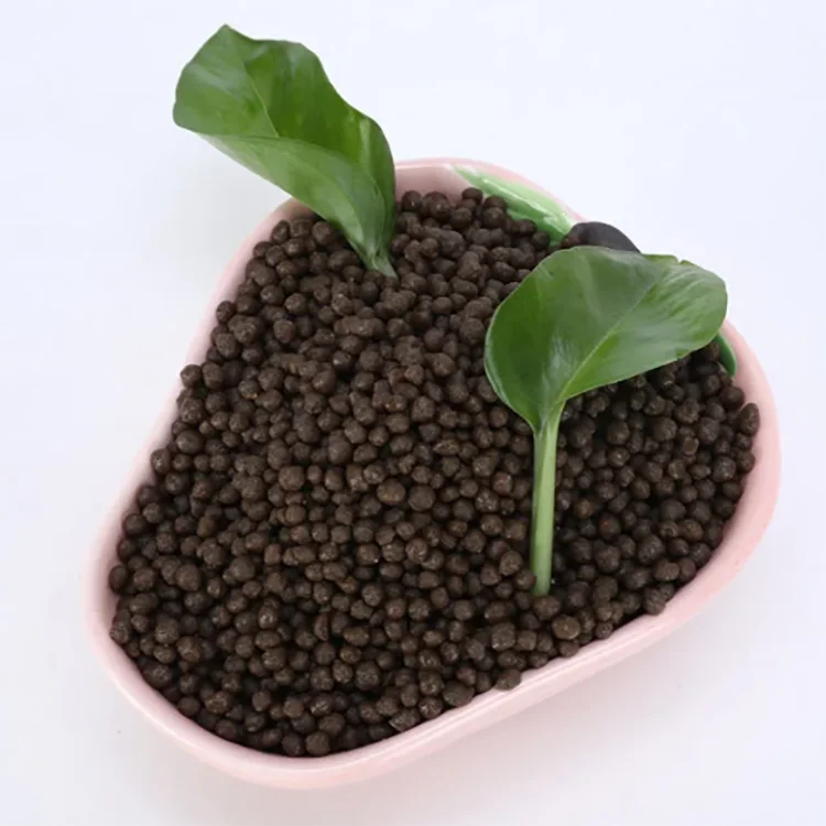 Manufacturers in China Supply Dap Fertilizer 18-46-0 Granular Diammonium Phosphate (TSP) Slow Release P2O5 Rock Phosphate