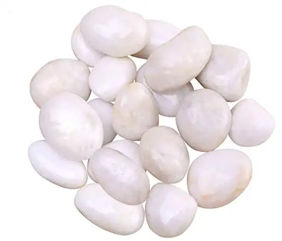 Decorative Pebbles for Plants and Vases - Natural Stone Top Dressing for Potted Plants and Succulents