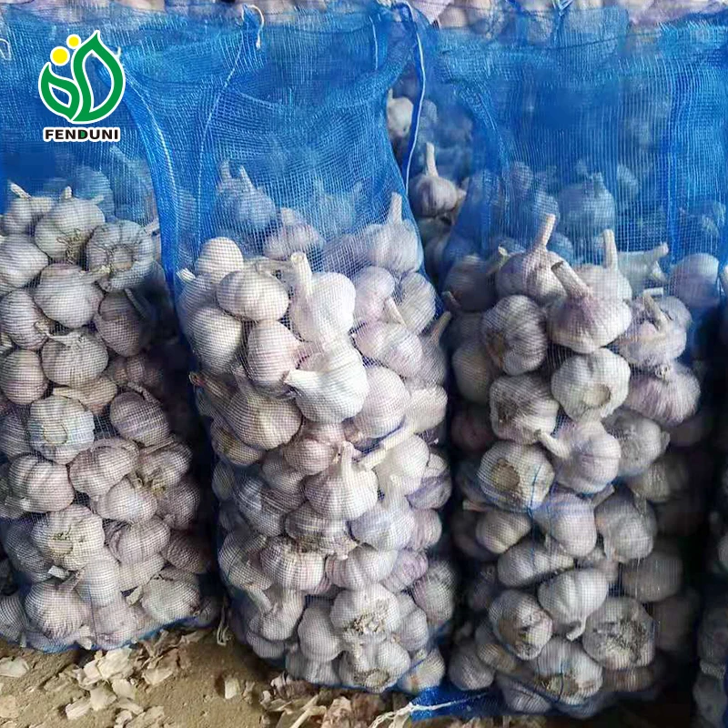 Normal white ajos 200g/250g/500g fresh raw garlic form Chinese for sale in bulk