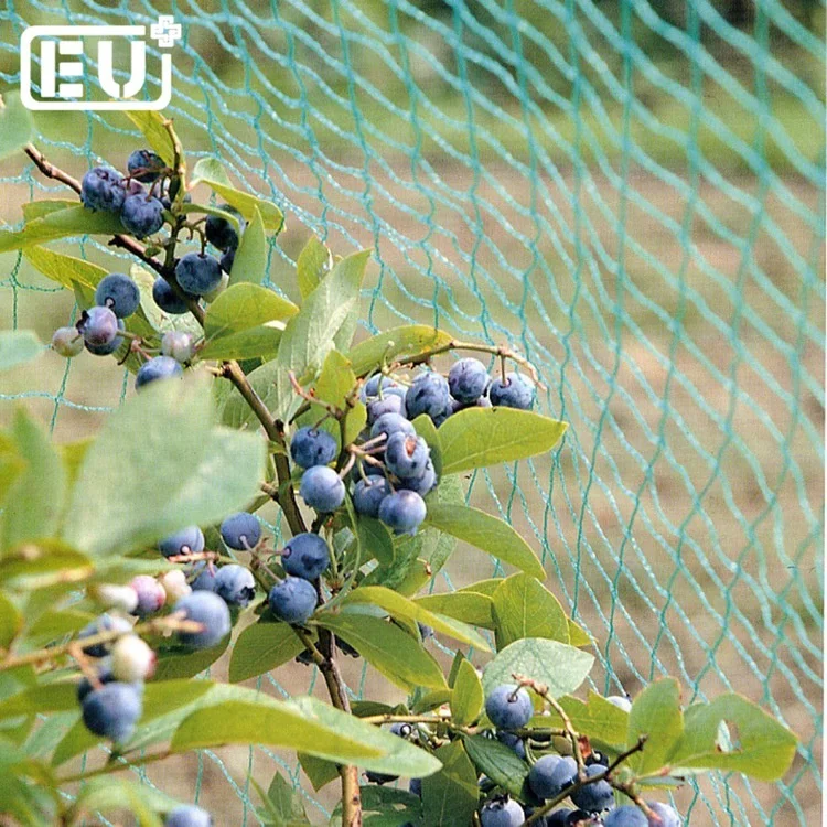 Joyeyou supply vineyard anti bird net/bird mist net/bop stretch net with low price