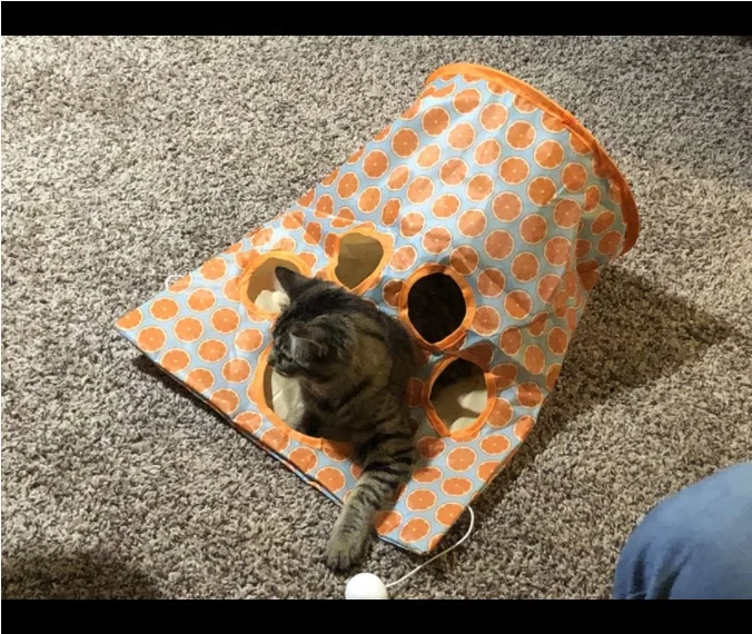 New best-selling cat tunnel bag with sound paper interactive play cat toys for indoor cats tunnel