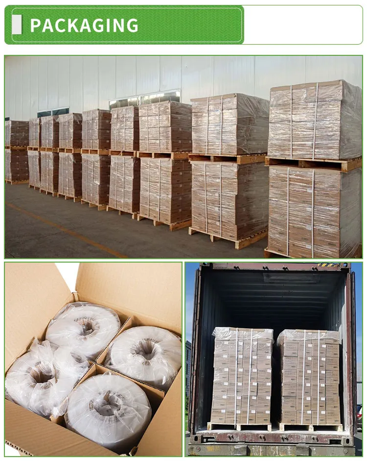 BioAir Filler-21.jpg