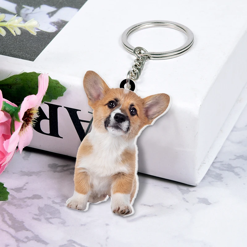 Customized Keychain with Photos Customizable Dog Memorial Cat Memorial Keychain Gift for Pet-loving People personalized Key Ring