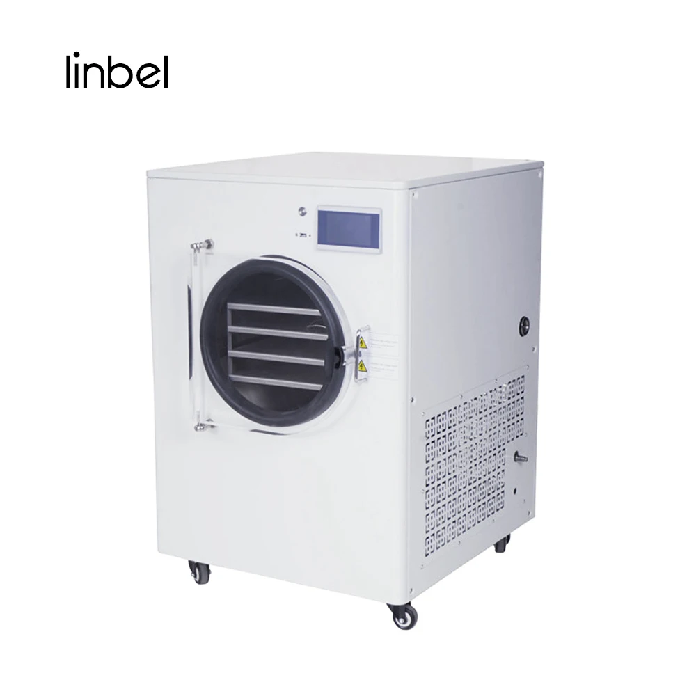 Small Mini Home Household Food Fruit Vacuum Dry Freezer Freeze Dryer Price