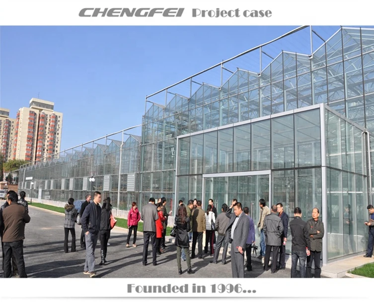 8m/9.6m/10.8m/12m/16m Span Glass Green Houses Agriculture Commercial Spain Large Green House