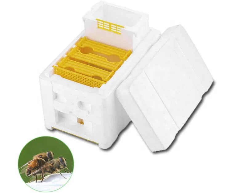 Multi-Functional Queen Bee Mating Box Queen Rearing Beehive foam beehive