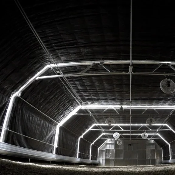 greenhouse complete structure light blackout greenhouse fully automated hemp invernadero agriculture greenhouse