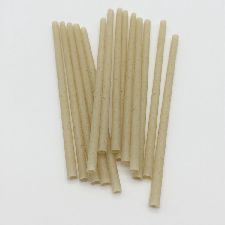 Disposable Sugarcane Drinking Straws Plastic Free Eco-Friendly Stirrers custom Cocktail Straws
