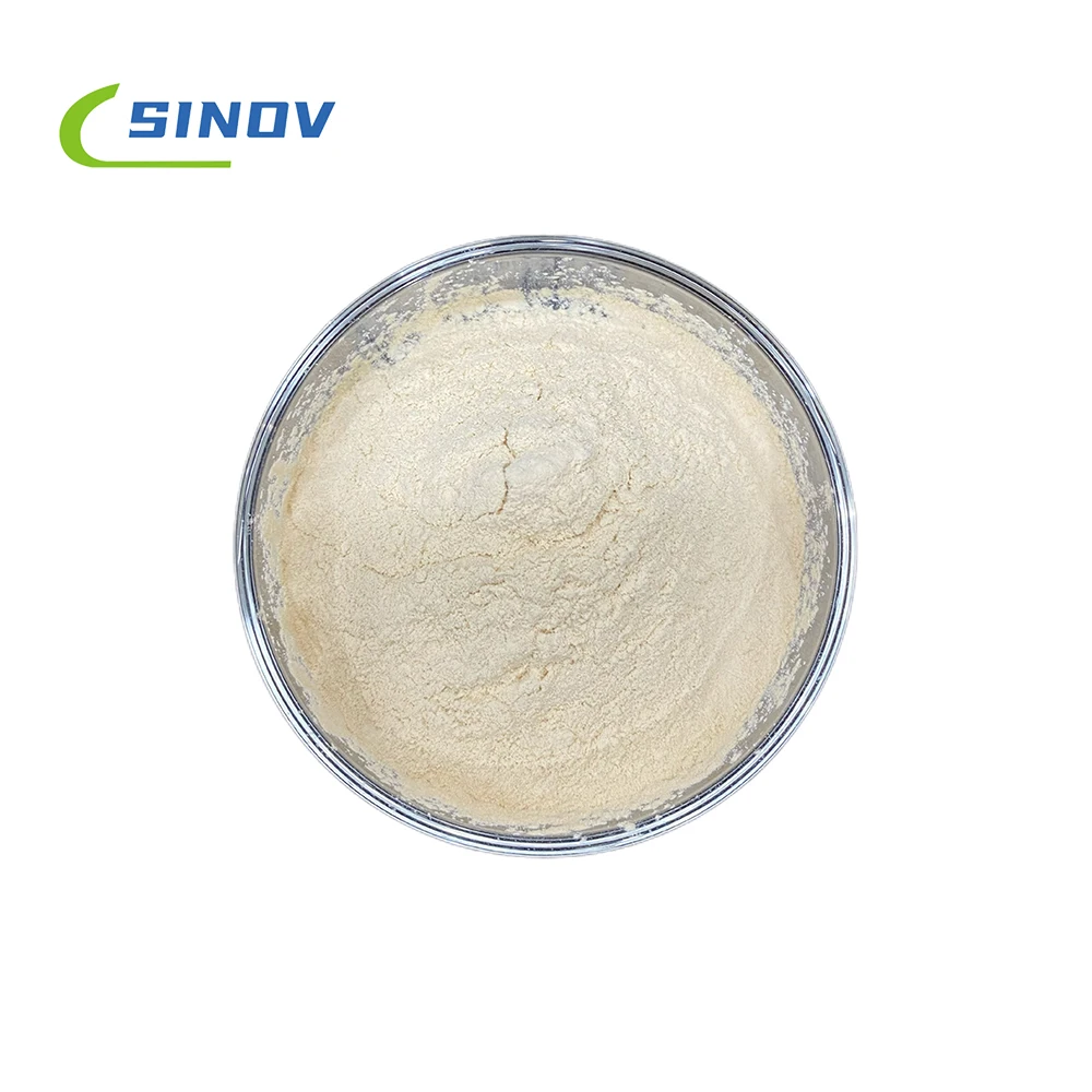 Factory supply Siberian Ginseng Extract High quality Siberian Ginseng Extract Wholesale price Siberian Ginseng Extract