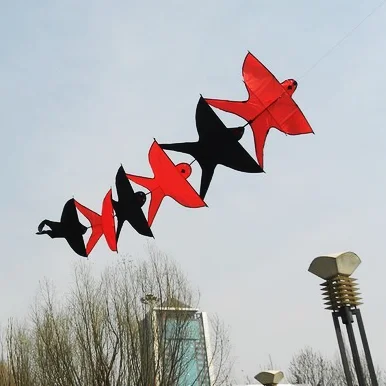 Brand New Bird Kite Design For Adult