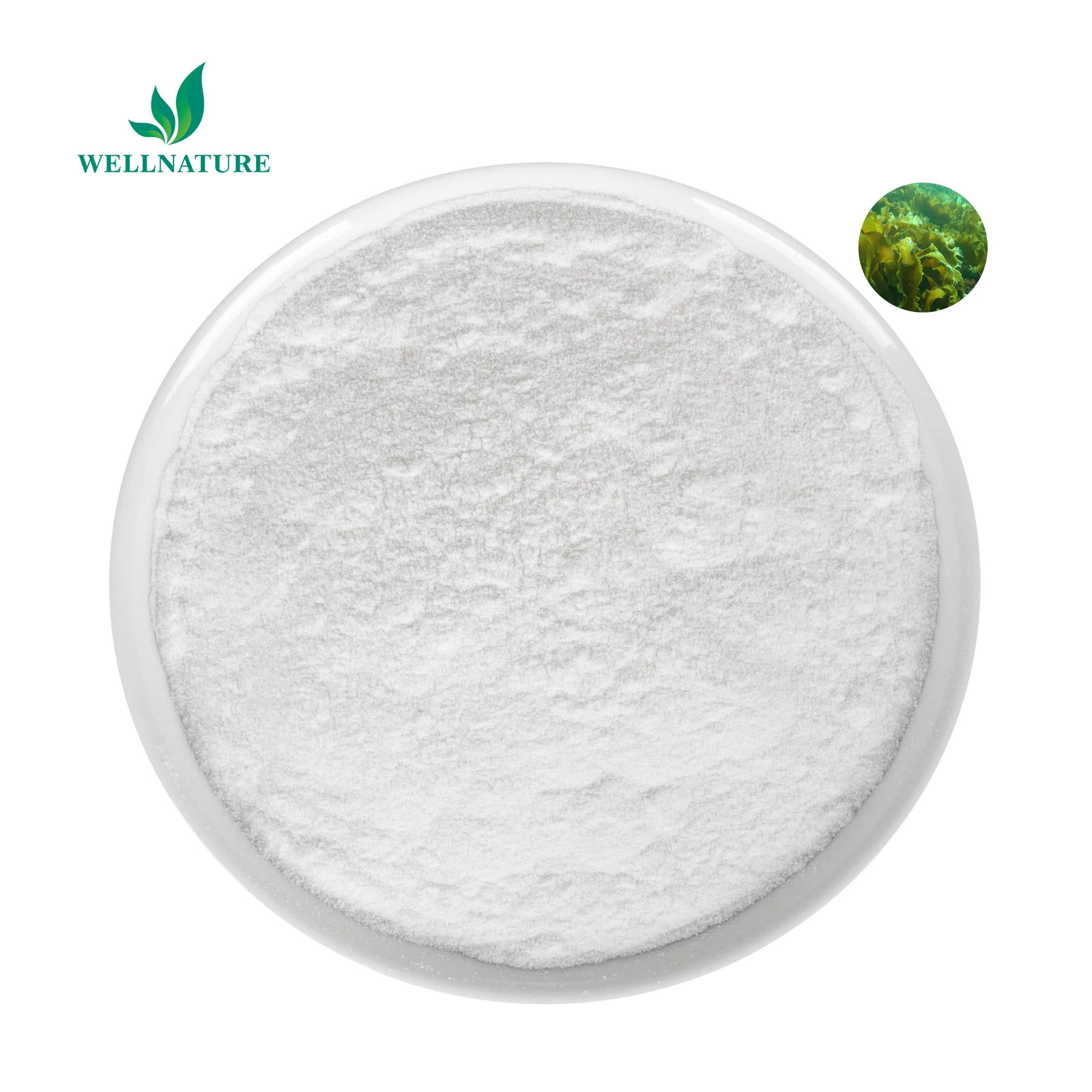 Fucoidan Polysaccharide Fucoidan Extract Powder Fucoidan