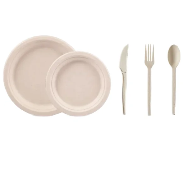Eco-friendly Degradable Biodegradable compostable 9 inch dinner party sugar cane pulp sugarcane bagasse disposable paper plate