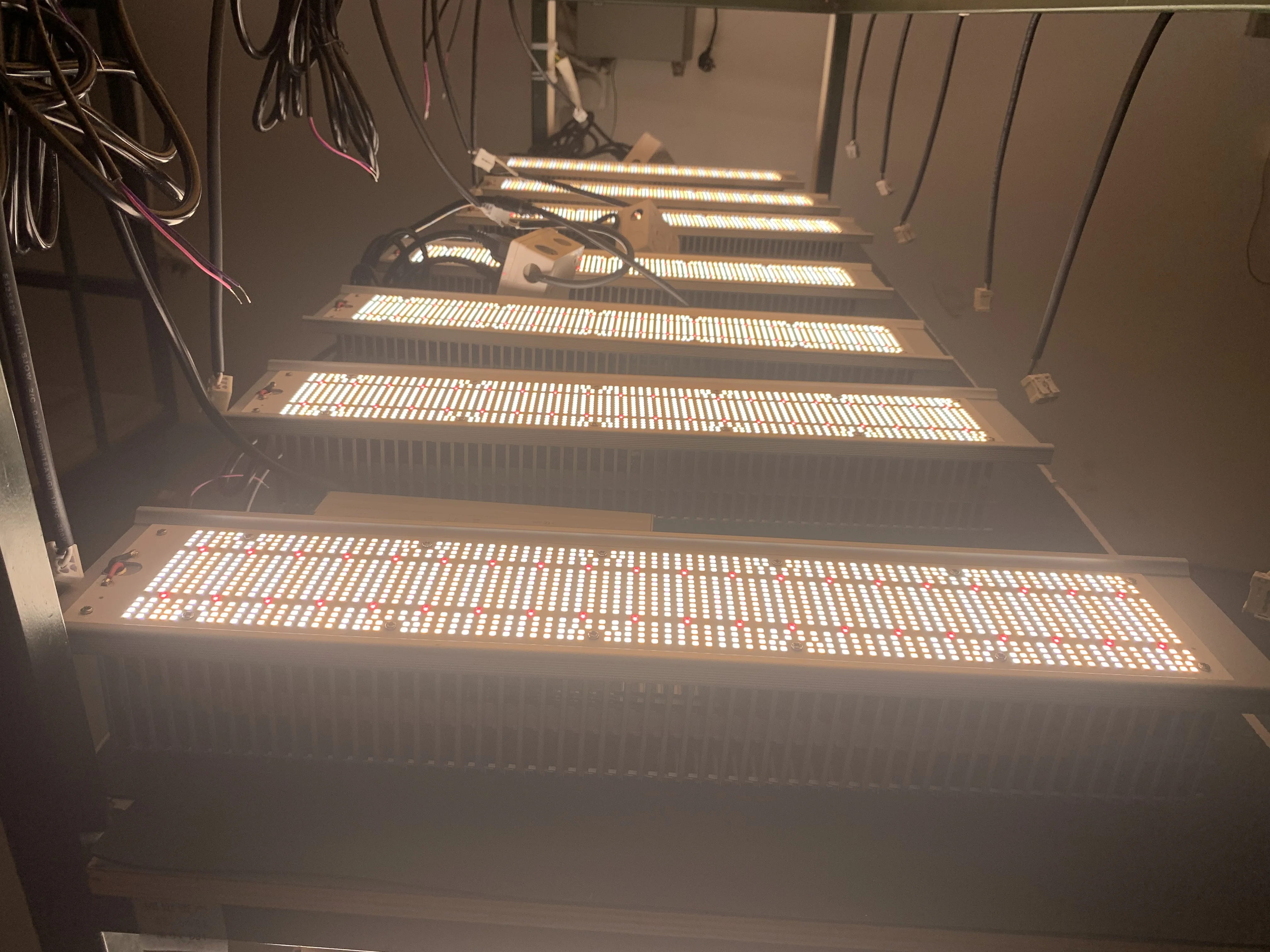 New Greenhouse Supplemental Led Top Light High Ppfd 640W Full Spectrum Slim Horticulture Grow Light Led Bar