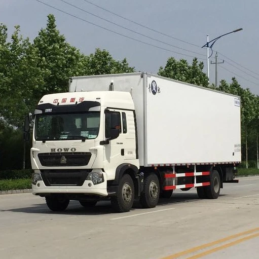 HOWO Diesel 10T Thermo King freezer refrigerator truck