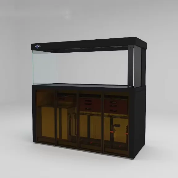 Large Bottom Filter Arowana Tank with Dry-Wet Separation & Right Overflow - Glass Aquarium for Living Room