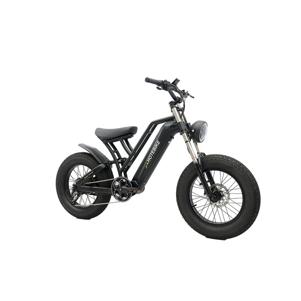 high power 48V 750W 1000w e bike 2000w 20 inch e bike 2000w for sale 7 speed electric bicycle