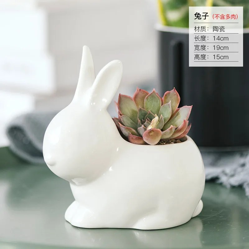 
APHACATOP White Animal Succulent Cactus Plant Flower Pot for Home Decoration SUCCULENT POTS 