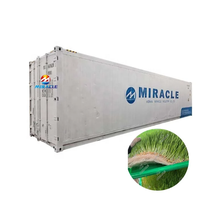 Made in China best price livestocks animal feed fresh grass fodder sprout hydroponic machine