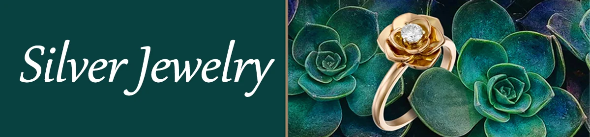Silver Jewelry.jpg