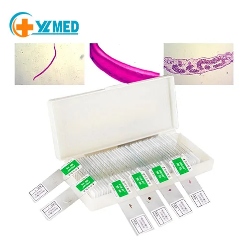 50 слайдов, приготовленных для медицинского паразитологического микроскопа, различные образцы, набор образцов, студенческие слайды для обучения в университете