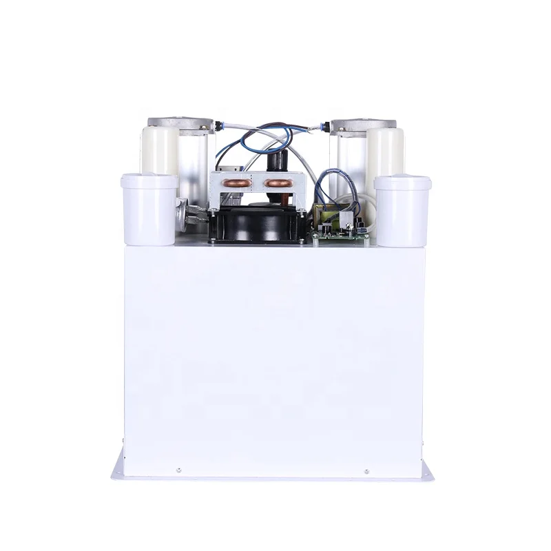 CHUANGHUAN 3L 5L 10L oxygen concentrator with air compressor, chiller used for ozone generator and fish farm