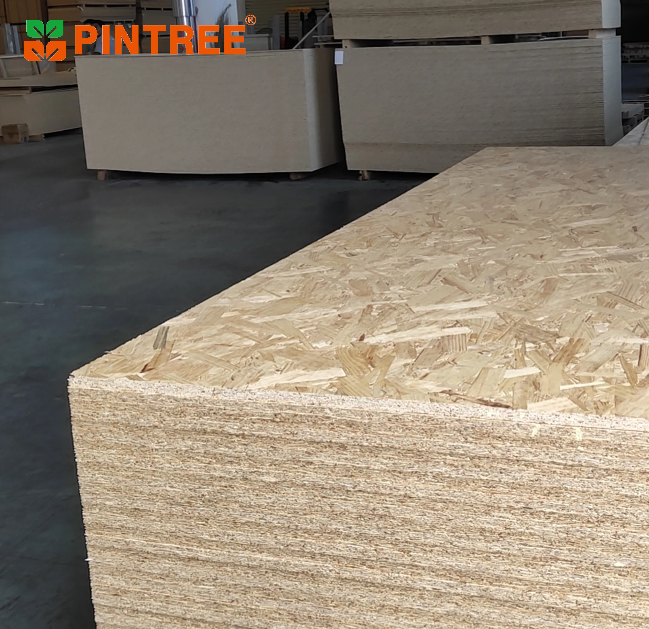 Poplar osb /waterproof osb plywood/1220*2440mm cheap OSB,high quality OSB board,OSB prices