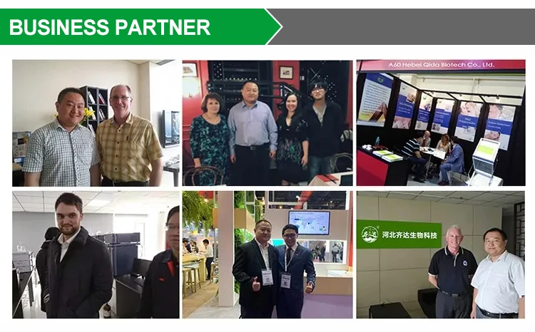 For Gut Health lactobacillus plantarum 600B Food Additives Manufacturers Probiot Lactobacillus Plantarum 200B CFU/g