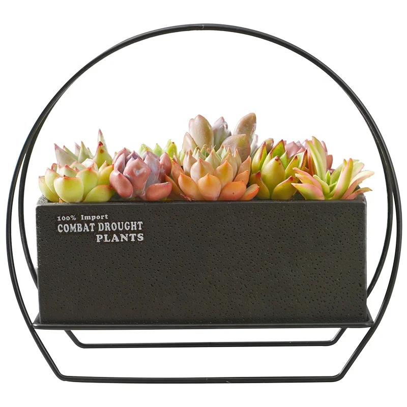 Popular succulents pots and pans plant pots cement breathable black rectangular flower pots with simple iron frame set