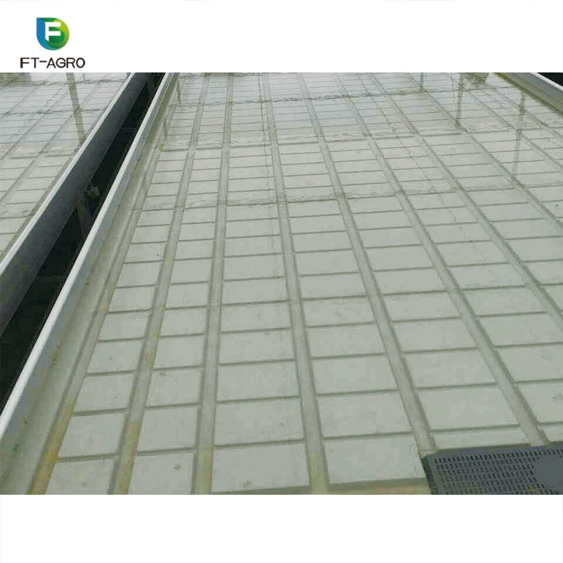 Greenhouse Rolling Benches Seed Nursery Bed Agricultural Greenhouse Equipment