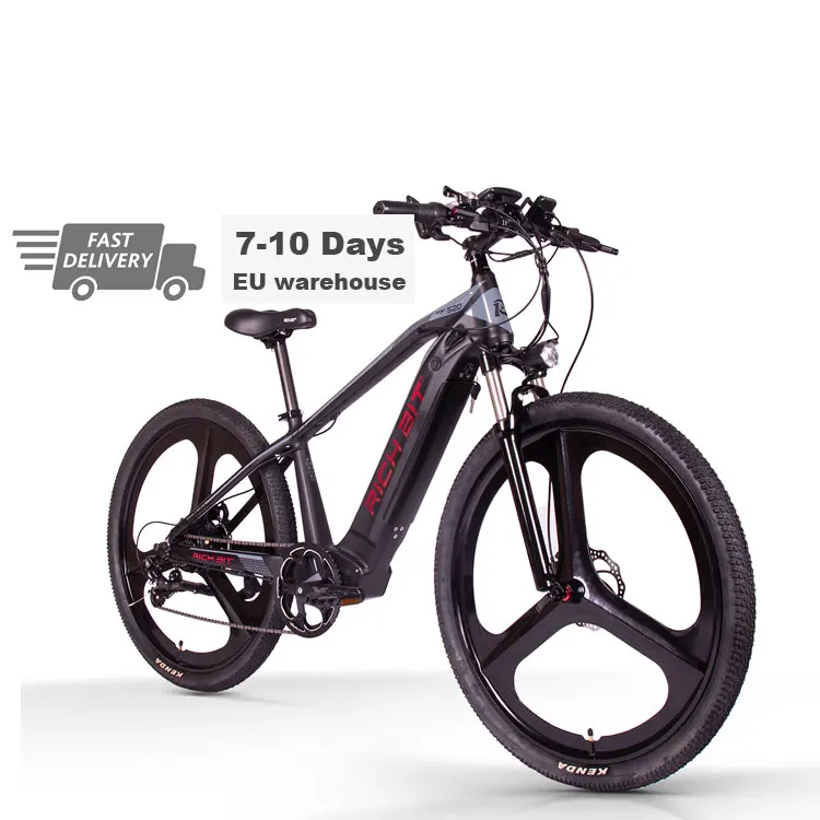 New type top sale Attractive Price electric mountain 48v 1000w fat bike