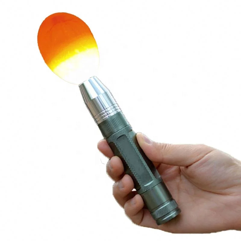 Лидер продаж, высококачественный инкубатор для яиц, тестер для продажи