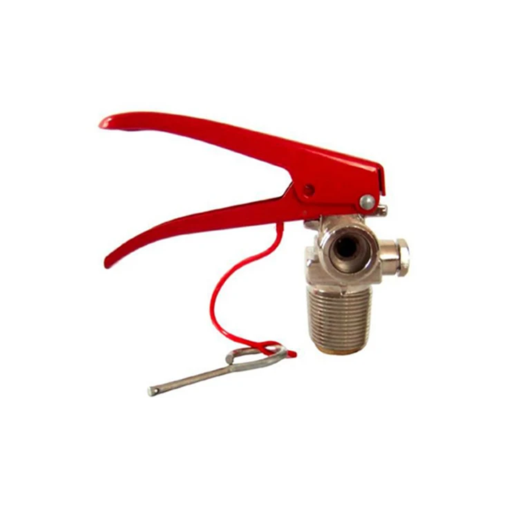 TaiLong 2022 Manufacturer Dry Powder Aluminum Fire Extinguisher Schrader Head Valve