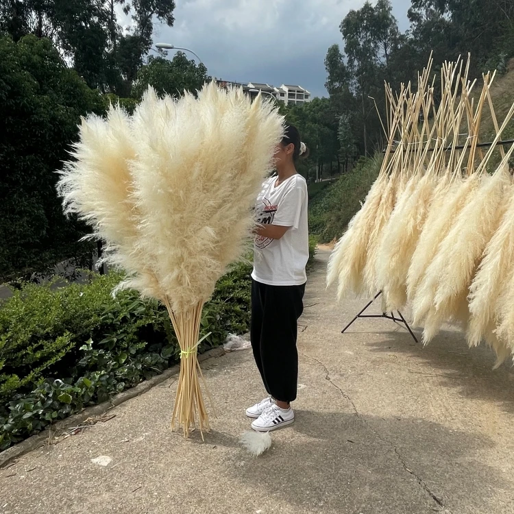 A-33  amazon amazon 2021 new arrivals natural artificial flowers large pampas pampa grass dried flower decorative flowers