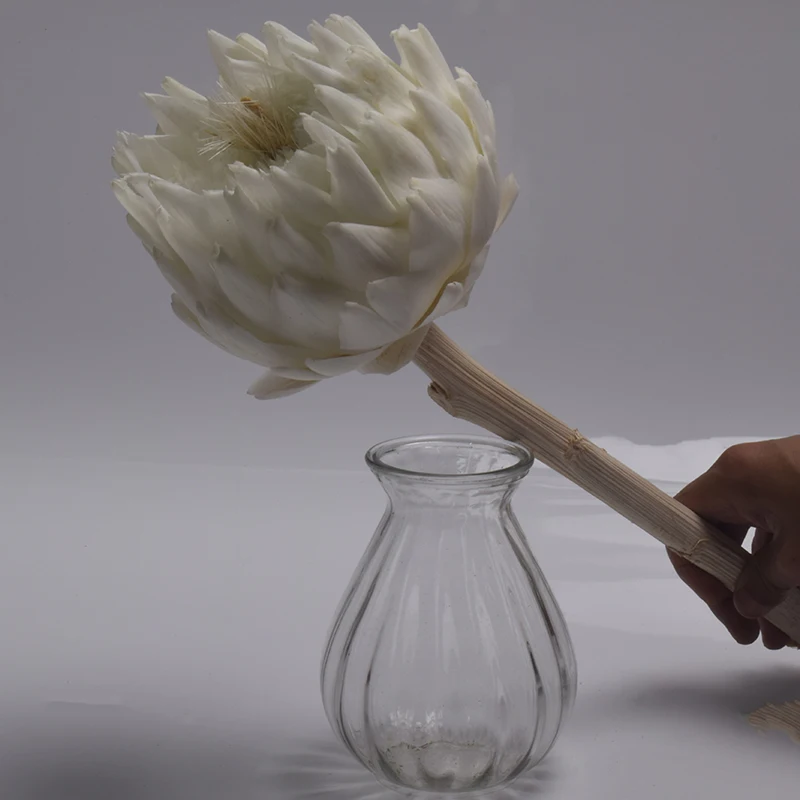 Different Colors HFloral Dried Eternal Flower Arrangement Preserved Flower Big Size Preserved Artichoke