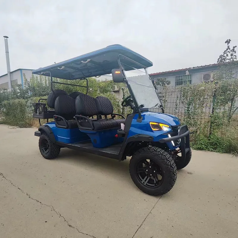 High Quality china 2 4 6 8 Seater street legal   Electric golf cart club car buggy  lithium for sale