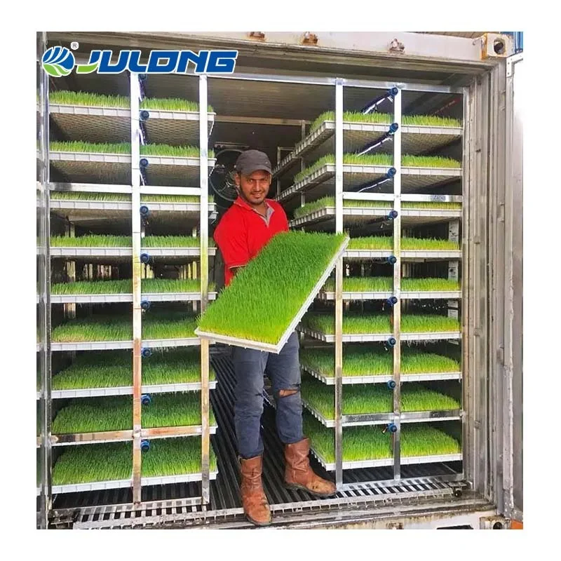 Shipping Container Farms Hydroponic Fodder Vertical Farming Container Greenhouse