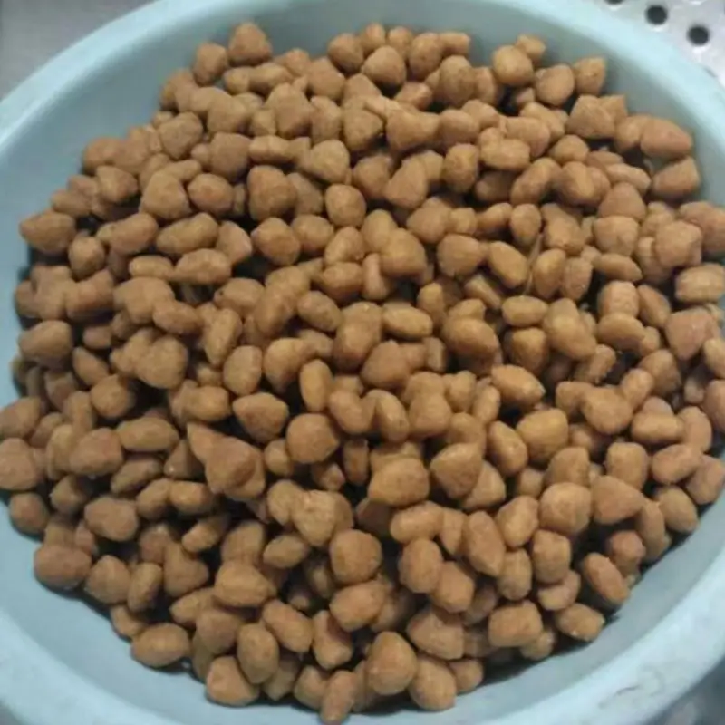 Premium Natures Nutrition Freeze Halal Dried Cat Food Hypoallergenic Cat Food Cat Favourite Food For Sale