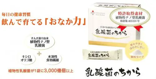 Lactobacillus Contains inulin immune Japan health food supplements