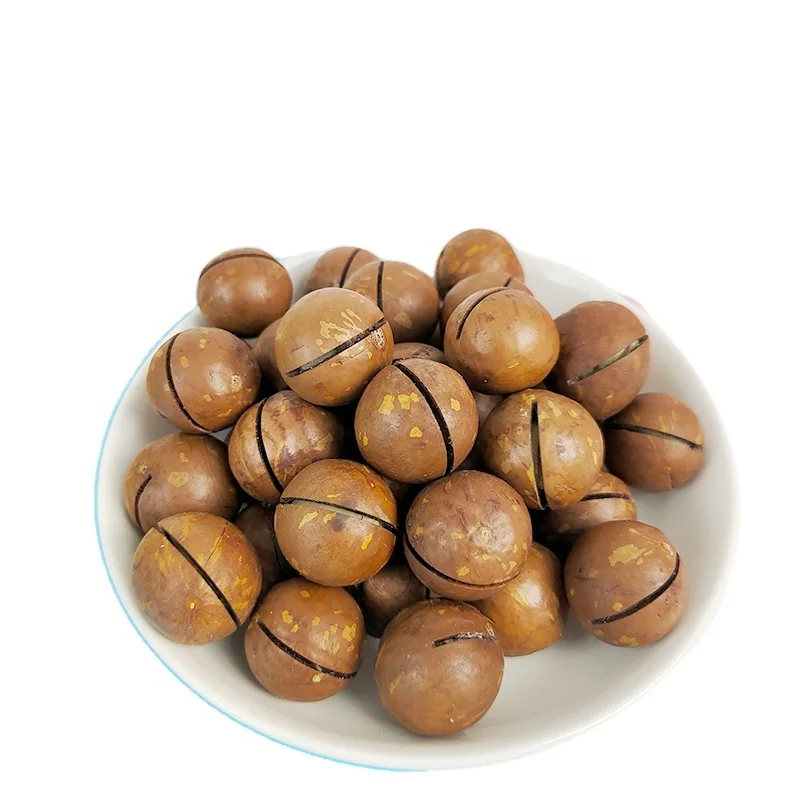 Macadamia Nuts Roasted and Cracked 22mm--25mm Nutritious Direct-Eating Snack Wholesale from China .