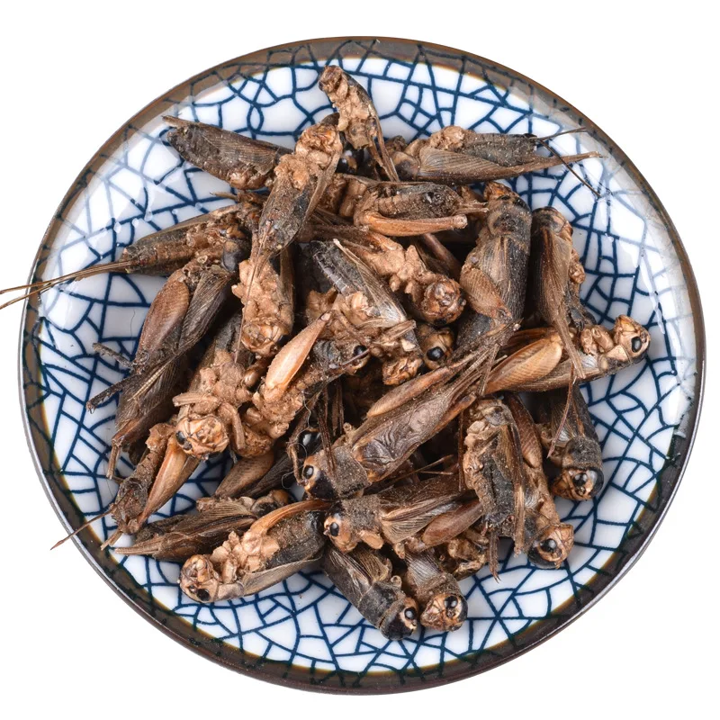 Limited Time Promotion Factory Wholesale Price Clean High Protein Wholesale Freeze Dried Crickets