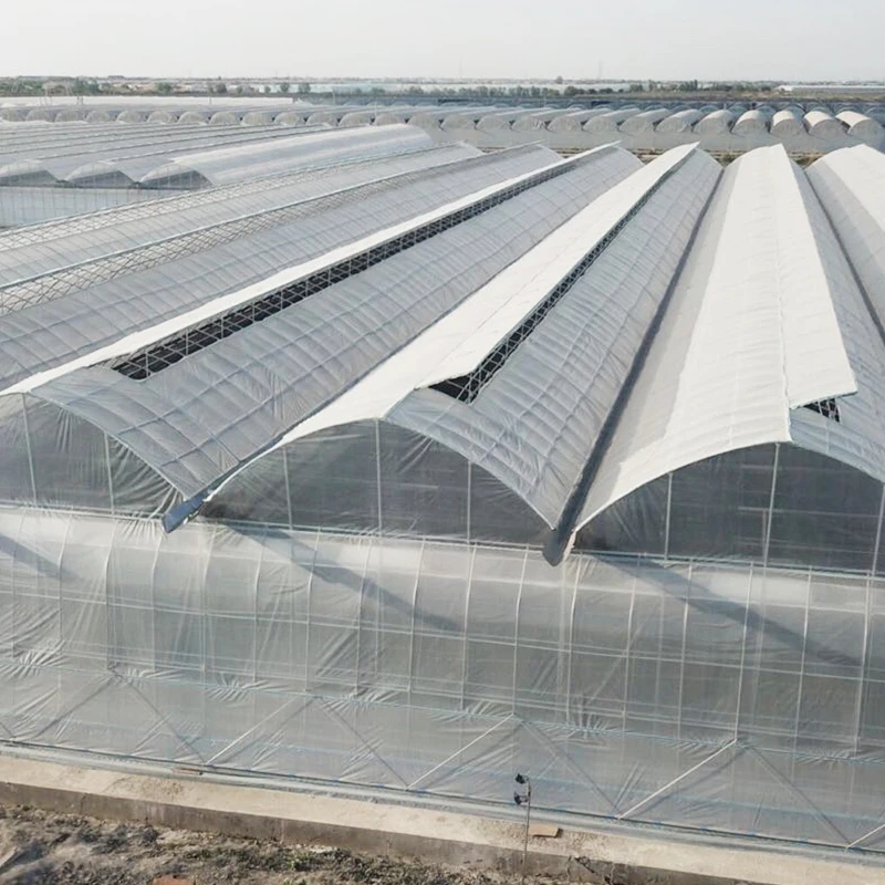 Commercial korean model film green house agriculture greenhouse