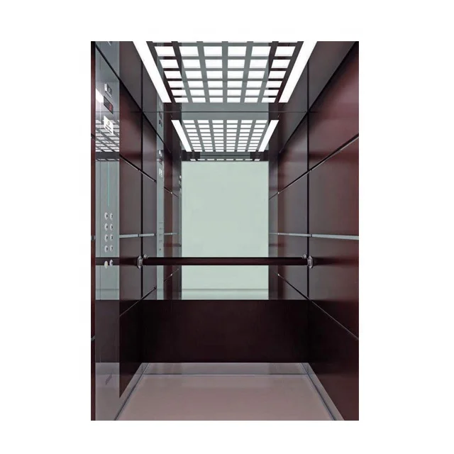 Neoteric High Quality Luxury Machine Room Passenger Elevator 6-8 Person Lift