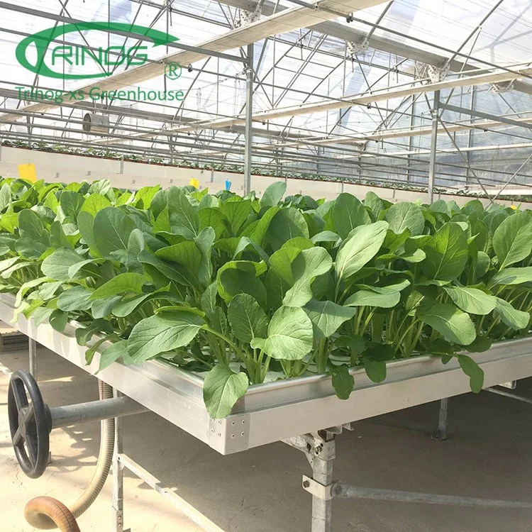 Trinog Greenhouse hot sale OEM size Advanced hydroponic system movable ebb and flow seedbed for sale