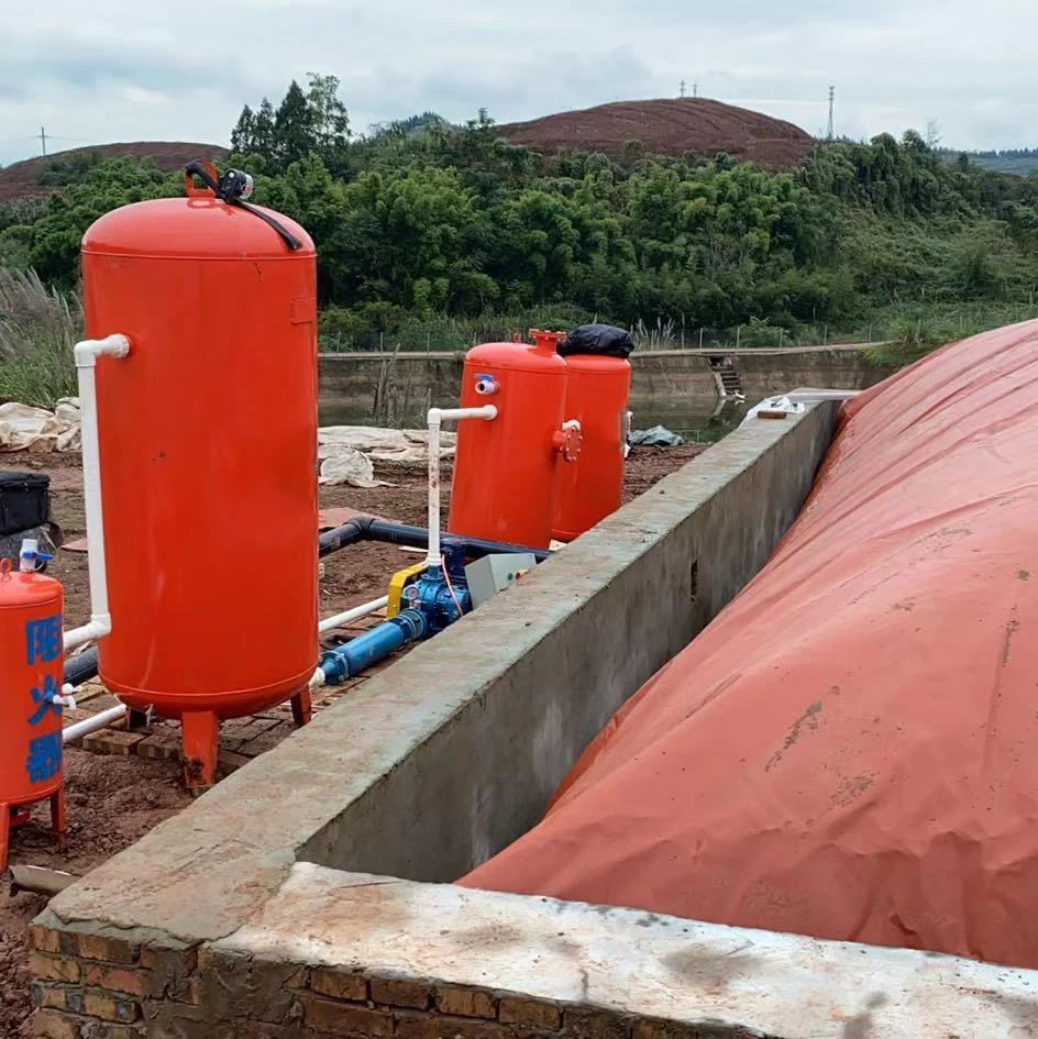 Classic Design Mini Bio Gas Septic Tank Production Soft Biogas Digester
