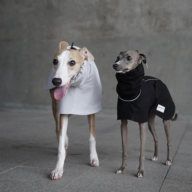 Customized High Quality Classic Dog Raincoats Waterproof Slicker Lightweight Breathable Dog Rain Poncho Jacket For Large Dogs