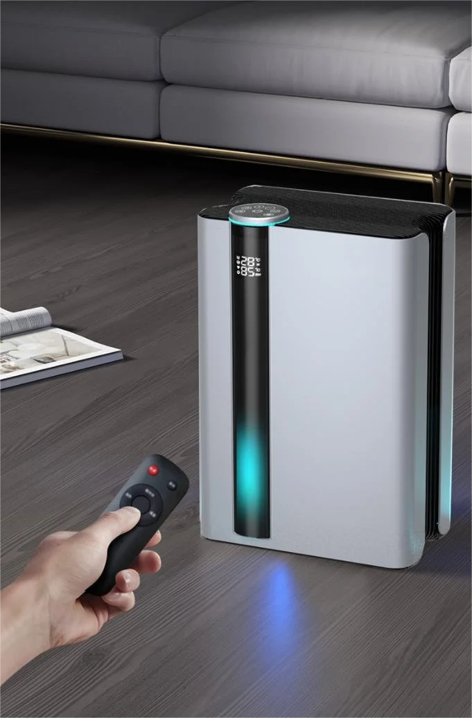 Portable Multifunctional Touch Digital Display Screen 8-10L/D Dehumidifiers