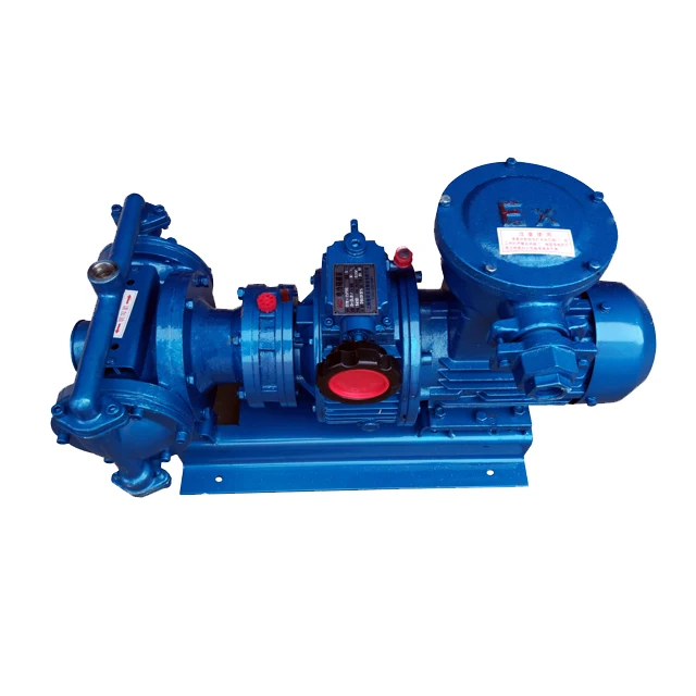 Electric Diaphragm Pump Farming Water Pump Lotion Pump Chemical Industrial Acid Transfer Operated Double