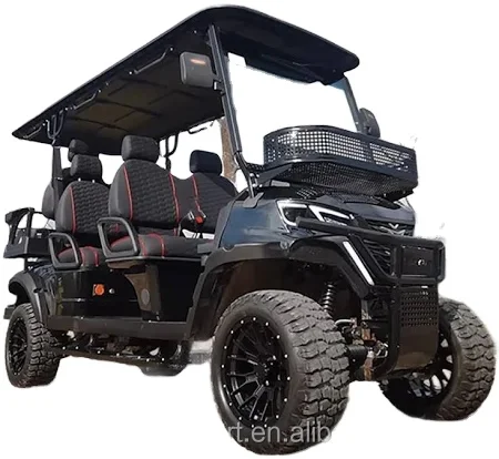 2+4 Passenger Electric Golf Cart with Curtis Controller Buggy Car Golf Scooter