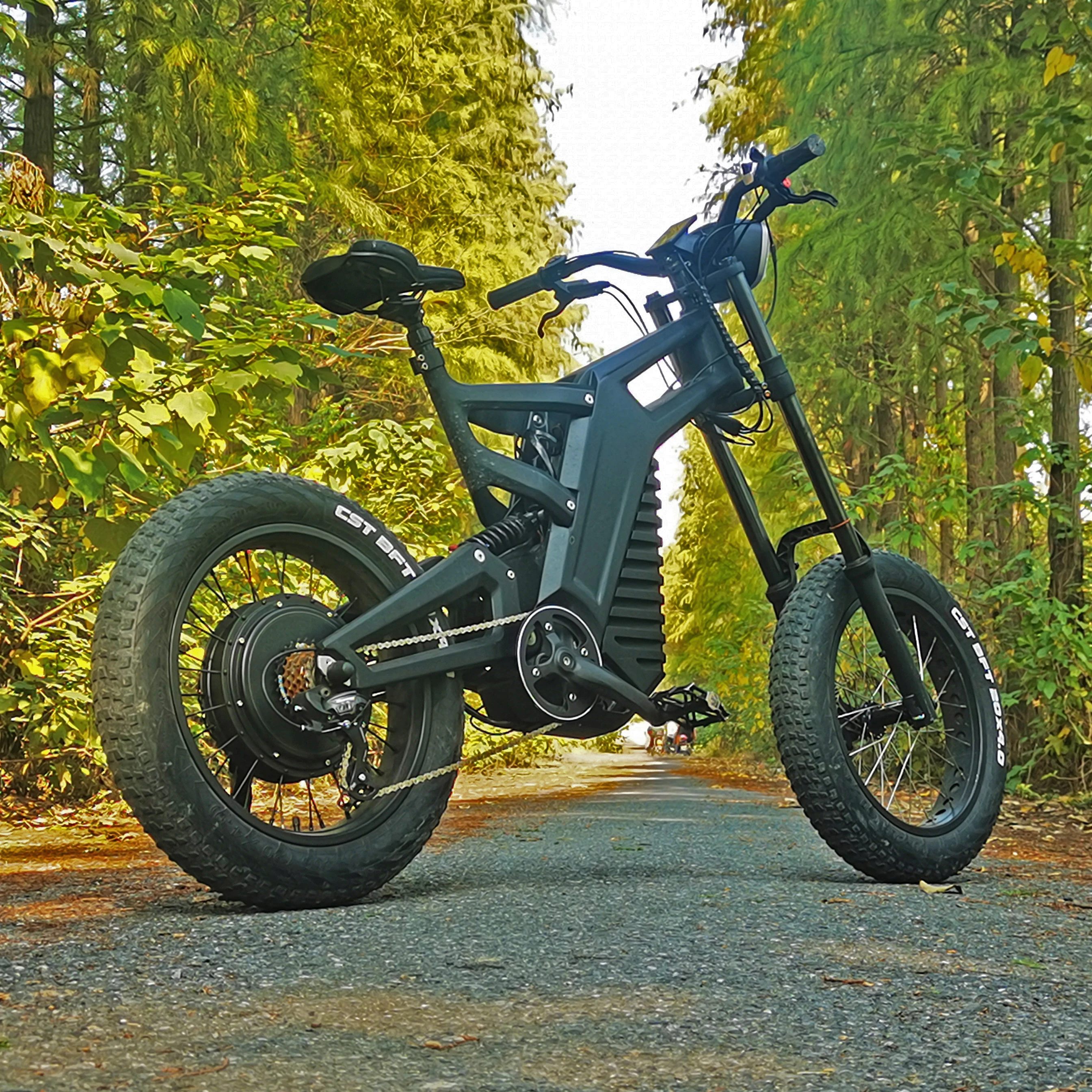 48V 24.5Ah LG Cell Carbon Fibre 20 Inch Powerful Electric Bike Full Suspension Fat Tire Carbon Fibre E Bike