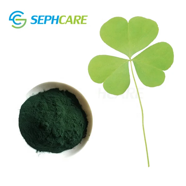Manufacturer Supply Bulk Pigment Powder Chlorophyll Sodium Copper Chlorophyllin